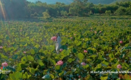 &ldquo;Việt Nam: Đi Để Y&ecirc;u! - Trải nghiệm trọn vẹn&rdquo;