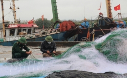 2 th&aacute;ng đầu năm sản lượng thuỷ sản ước đạt 43.200 tấn