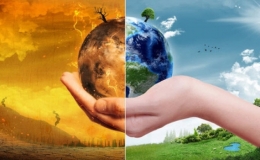 9 dự &aacute;n carbon thấp tham gia Chương tr&igrave;nh th&uacute;c đẩy t&agrave;i ch&iacute;nh kh&iacute; hậu