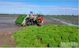 Đồng Th&aacute;p: Đổi mới sinh hoạt chi bộ, ph&aacute;t triển c&aacute;c m&ocirc; h&igrave;nh sản xuất hiệu quả