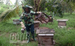 Hiệu quả nu&ocirc;i ong nội lấy mật