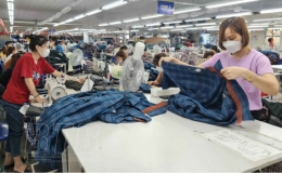 Hoạt động xuất khẩu v&agrave; nhập khẩu đều gặp kh&oacute; khăn