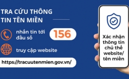 Hướng dẫn tra cứu t&ecirc;n miền an to&agrave;n qua đầu số 156