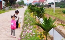 Huyện Ph&uacute; B&igrave;nh (Th&aacute;i Nguy&ecirc;n): Tổ chức thi tuyến đường hoa phụ nữ