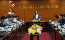 Kế hoạch tổ chức cuộc thi s&aacute;ng t&aacute;c biểu trưng (logo) tỉnh Th&aacute;i B&igrave;nh