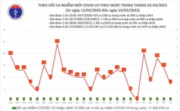 Ng&agrave;y 11/3, số mắc mới Covid-19 giảm c&ograve;n 7 ca