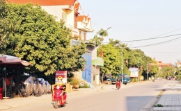 N&ocirc;ng th&ocirc;n mới n&acirc;ng cao ở H&agrave; Nam