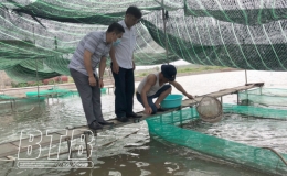 Phấn đấu sản lượng nu&ocirc;i trồng thủy sản năm 2023 đạt tr&ecirc;n 170.000 tấn