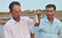 S&oacute;c Trăng ch&uacute; trọng ph&aacute;t triển đảng vi&ecirc;n l&agrave; người d&acirc;n tộc thiểu số