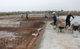 Thụy Hải: Sẵn s&agrave;ng nu&ocirc;i trồng thủy sản vụ xu&acirc;n h&egrave;