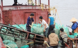 Tiền Hải: Ph&aacute;t triển thế mạnh nu&ocirc;i ngao