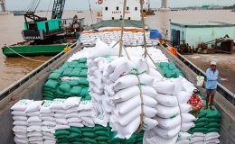 2 th&aacute;ng năm 2024, xuất khẩu gạo tăng gần 50%