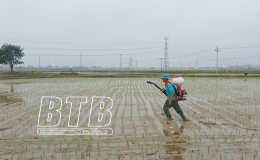 Chuyển trọng t&acirc;m sang chăm s&oacute;c l&uacute;a xu&acirc;n