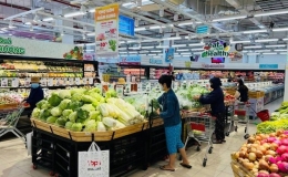 CPI th&aacute;ng 3/2024 giảm 0,23%