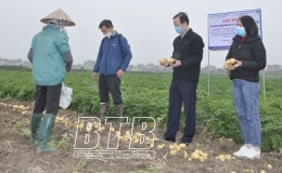 Đẩy mạnh ph&aacute;t triển ứng dụng khoa học c&ocirc;ng nghệ ti&ecirc;n tiến, c&ocirc;ng nghệ cao v&agrave;o sản xuất: Đột ph&aacute; ph&aacute;t triển then chốt của tỉnh