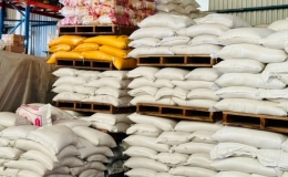 Gi&aacute; gạo xuất khẩu của Việt Nam tiếp tục tăng