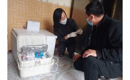 Kiến Xương ho&agrave;n th&agrave;nh đợt ti&ecirc;m ph&ograve;ng cho đ&agrave;n gia s&uacute;c, gia cầm vụ xu&acirc;n h&egrave;      