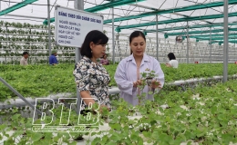 Kiến Xương: Ph&aacute;t triển n&ocirc;ng nghiệp theo hướng gia tăng gi&aacute; trị