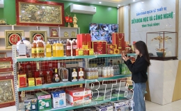 N&acirc;ng cao hiệu quả s&agrave;n giao dịch c&ocirc;ng nghệ v&agrave; thiết bị Th&aacute;i B&igrave;nh 