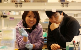 Nh&agrave; khoa học Việt v&agrave;o lớp th&agrave;nh vi&ecirc;n cấp cao của Học viện s&aacute;ng chế Mỹ