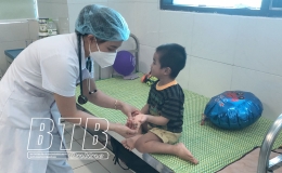 Th&aacute;i B&igrave;nh: 60 trường hợp mắc tay ch&acirc;n miệng từ đầu năm đến nay