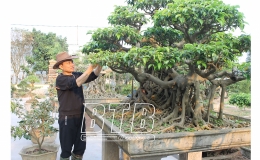 Th&agrave;nh c&ocirc;ng nhờ đam m&ecirc; c&acirc;y cảnh