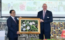 Th&uacute;c đẩy hợp t&aacute;c s&acirc;u rộng trong lĩnh vực n&ocirc;ng nghiệp giữa Việt Nam v&agrave; New Zealand