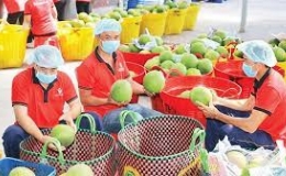 Xuất khẩu n&ocirc;ng, l&acirc;m, thuỷ sản đạt gần 10 tỷ USD