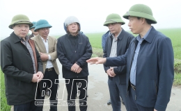 Đồng ch&iacute; Lại Văn Ho&agrave;n, Tỉnh ủy vi&ecirc;n, Ph&oacute; Chủ tịch UBND tỉnh kiểm tra t&igrave;nh h&igrave;nh sản xuất n&ocirc;ng nghiệp tại một số địa phương