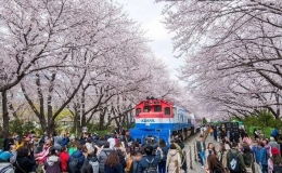 H&agrave;n Quốc đẩy mạnh k&iacute;ch cầu thu h&uacute;t kh&aacute;ch du lịch Việt Nam