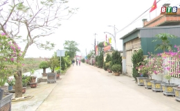 Ph&acirc;n loại, xử l&yacute; r&aacute;c thải hữu cơ tại hộ gia đ&igrave;nh ở x&atilde; B&igrave;nh Định