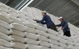 Th&agrave;nh lập đo&agrave;n kiểm tra li&ecirc;n ng&agrave;nh về xuất khẩu gạo