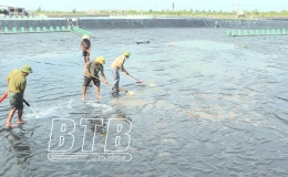 Tiền Hải: Sẵn s&agrave;ng xuống giống nu&ocirc;i thủy sản vụ xu&acirc;n h&egrave;