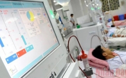 Tiếp tục sử dụng thẻ bảo hiểm y tế giấy đến hết ng&agrave;y 31/5/2025