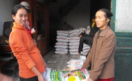 Kh&oacute; khăn kh&ocirc;ng ch&ugrave;n bước 