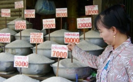 Gi&aacute; gạo xuất khẩu tiếp tục hạ

