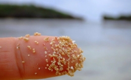 B&atilde;i biển c&oacute; c&aacute;t h&igrave;nh ng&ocirc;i sao của đảo Hoshizuna no Hama