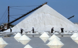 Nhiều ch&iacute;nh s&aacute;ch khuyến kh&iacute;ch ph&aacute;t triển nghề muối