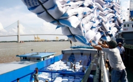 Philippines tạm dừng nhập khẩu gạo