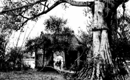 Ph&aacute;o đ&agrave;i đồng bằng