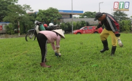 Tận diệt giun đất hủy hoại m&ocirc;i trường