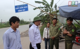 Th&aacute;i Thụy: Kiểm tra c&ocirc;ng t&aacute;c ph&ograve;ng, chống bệnh dịch tả lợn ch&acirc;u Phi v&agrave; bảo đảm an to&agrave;n giao th&ocirc;ng