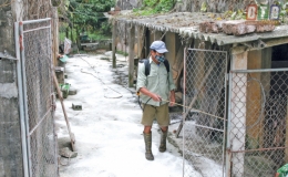 Kiến Xương:Tập trung khoanh v&ugrave;ng, ngăn chặn bệnh dịch tả lợn ch&acirc;u Phi