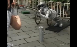 Cuộc sống quanh ta c&oacute; rất nhiều điều... h&agrave;i hước