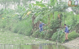 X&iacute; nghiệp Khai th&aacute;c c&ocirc;ng tr&igrave;nh thủy lợi huyện Hưng H&agrave;: bảo đảm tưới, ti&ecirc;u cho sản xuất vụ xu&acirc;n