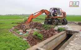 Xốc lại tinh thần cho người chăn nu&ocirc;i lợn