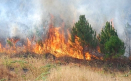 Nguy cơ ch&aacute;y rừng cấp cực kỳ nguy hiểm ở 12 tỉnh