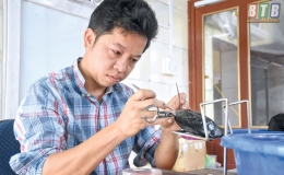 Anh Thuận t&aacute;o bạo với nghề nu&ocirc;i trai lấy ngọc