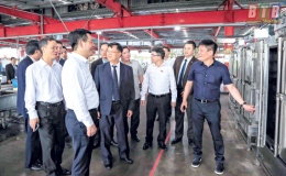 Chuyện nhỏ ở doanh nghiệp lớn