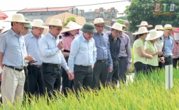 &ldquo;N&ocirc;ng d&acirc;n mới&rdquo; truyền lửa 